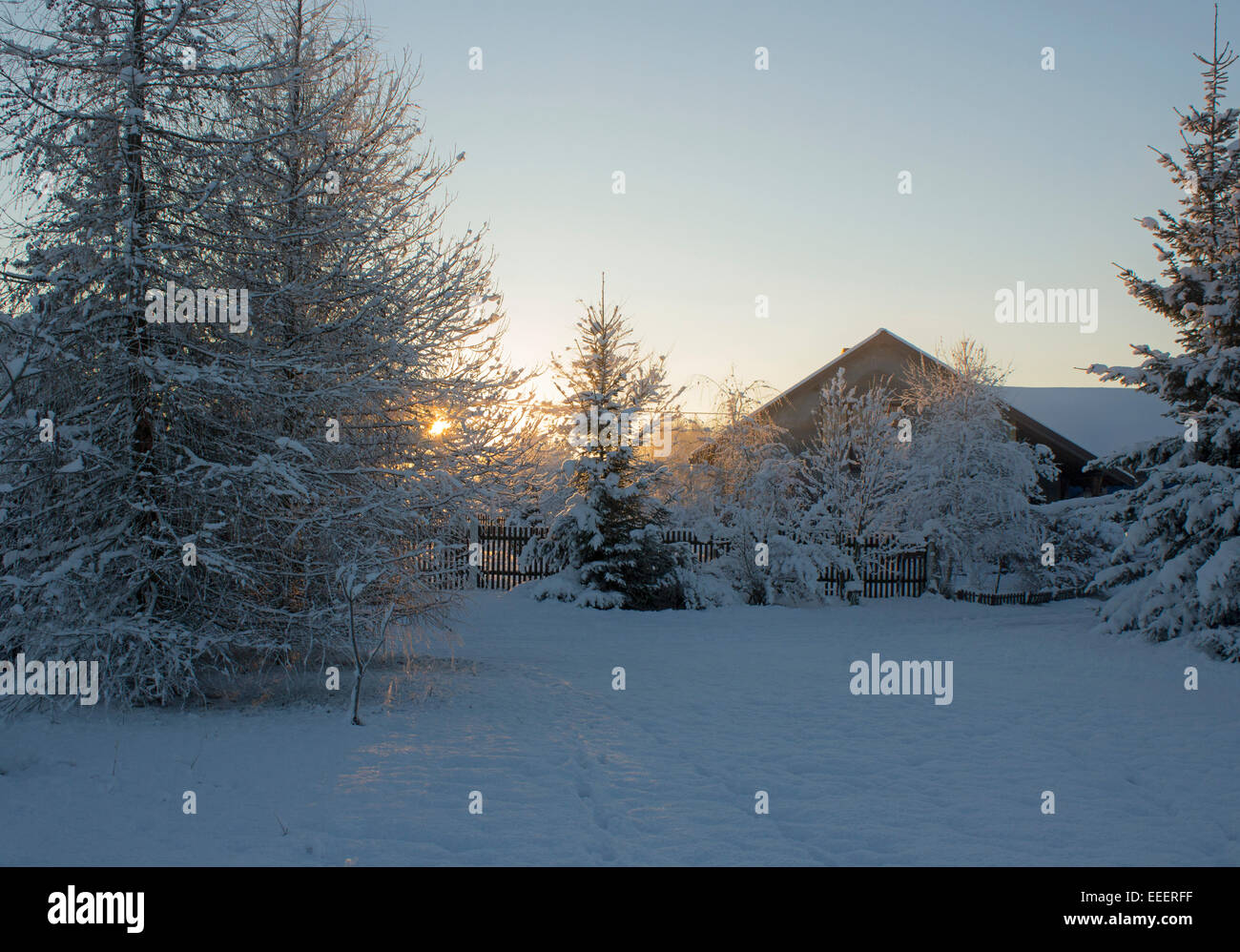 Winterlandschaft im Morgengrauen Stockfoto