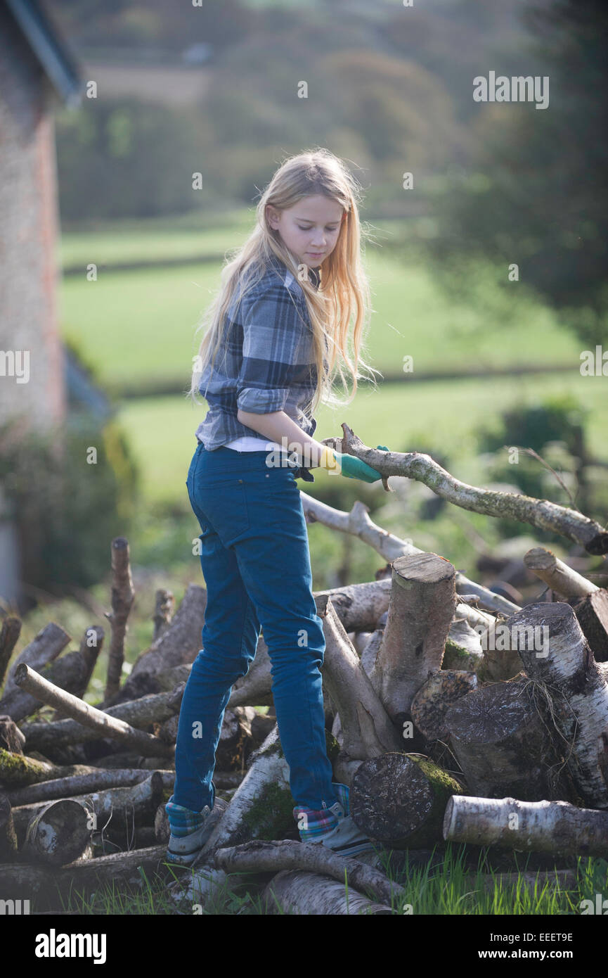 Ein junges Mädchen, das Sammeln von Brennholz Stockfoto