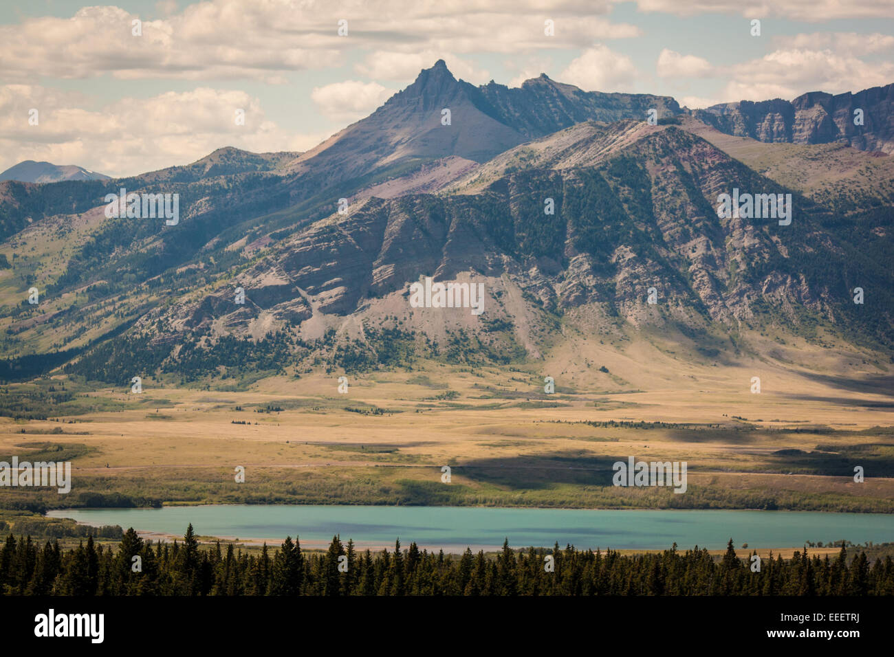 Rocky Mountains in der Nähe von Waterton Lakes National Park in Alberta, Kanada Stockfoto