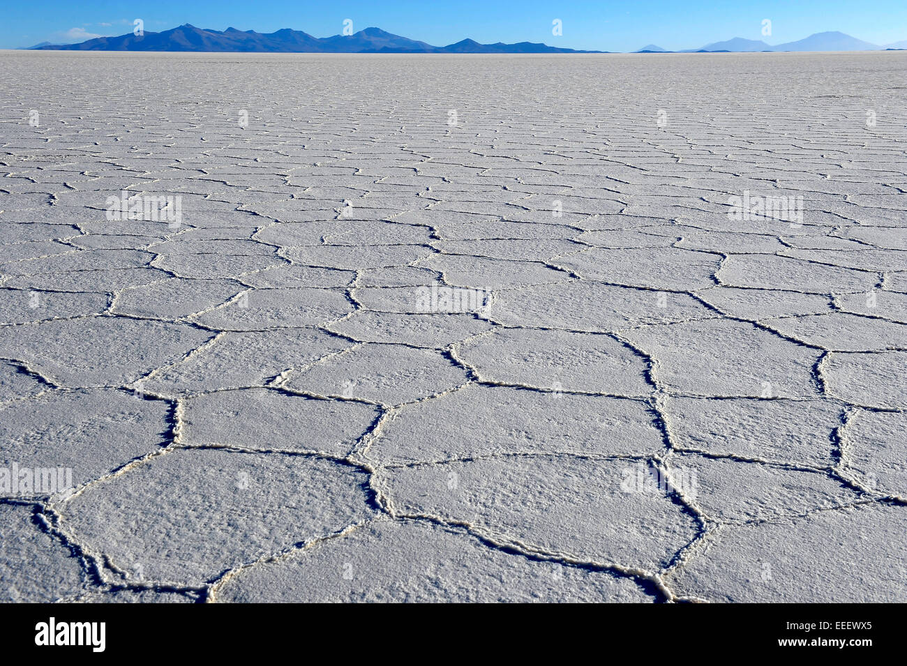 Hexagonalen Muster auf Boliviens Salar de Uyuni erstrecken sich bis zum Horizont auf der weltweit größten Salzsee. Stockfoto