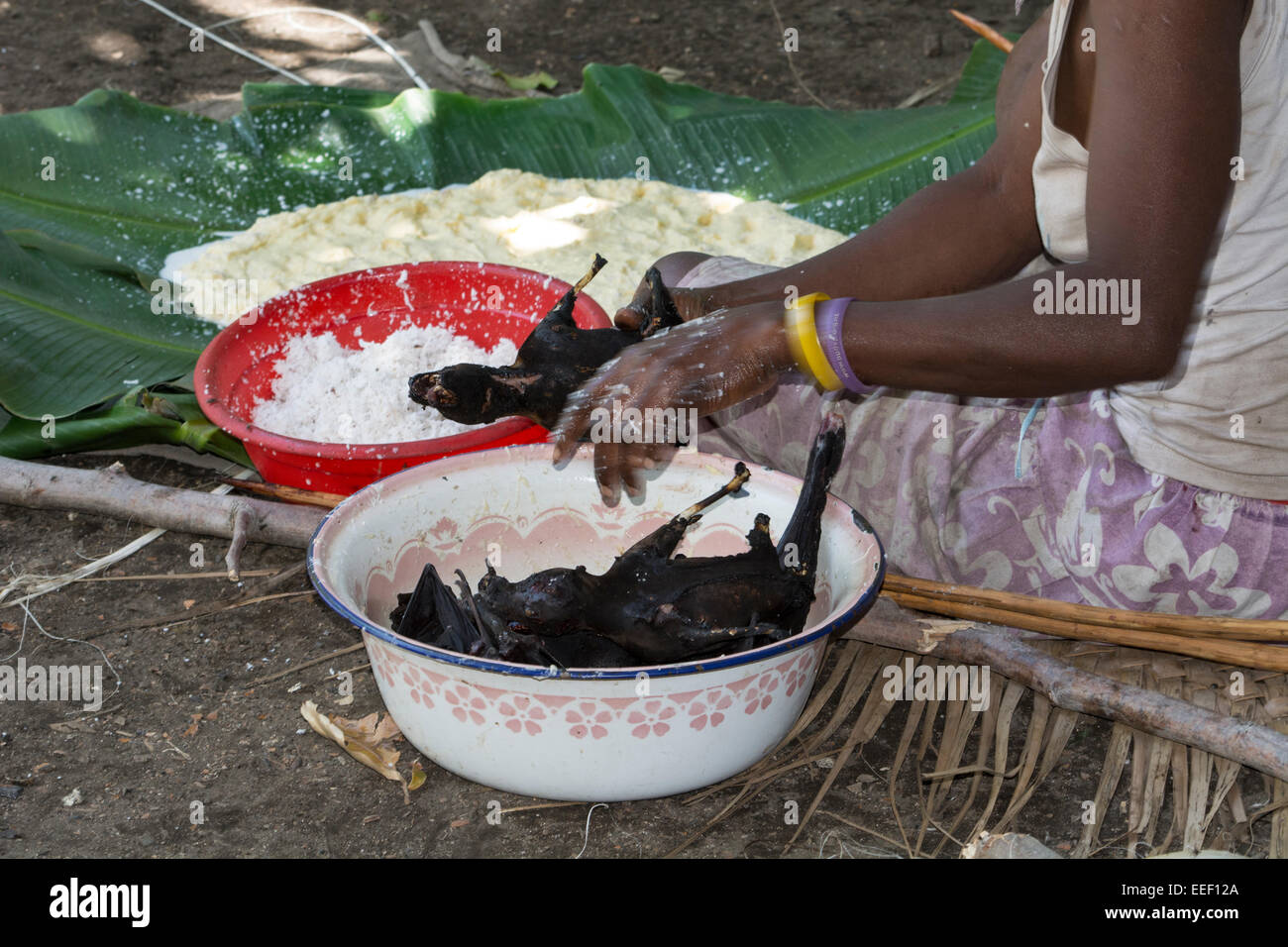 Melanesien, Vanuatu, Tanna Island. Dorf Frau Zubereitung einer Mahlzeit Flughund in Palmblättern über dem offenen Feuer gekocht werden. Stockfoto