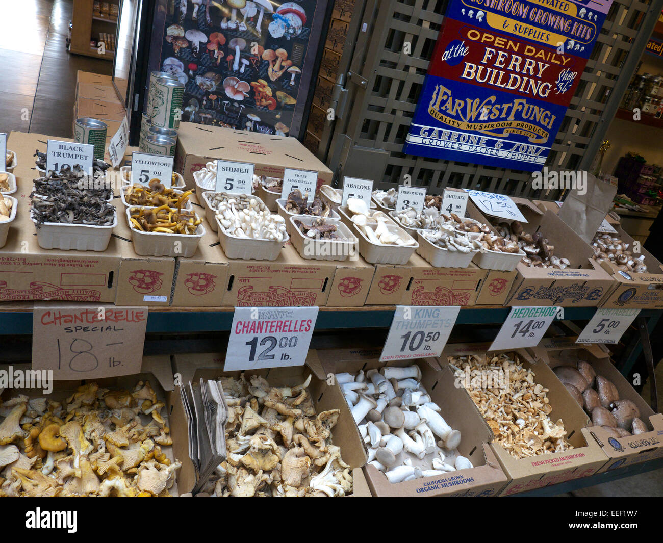 FARMERS MARKET SAN FRANCISCO organische Pilz in der Bauernmarkt Ferry Building Embarcadero, San Francisco Kalifornien USA Abschaltdruck Stockfoto