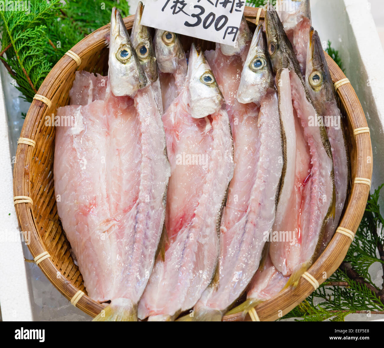 Frisches Fischfilet in einem japanischen Markt Stockfoto