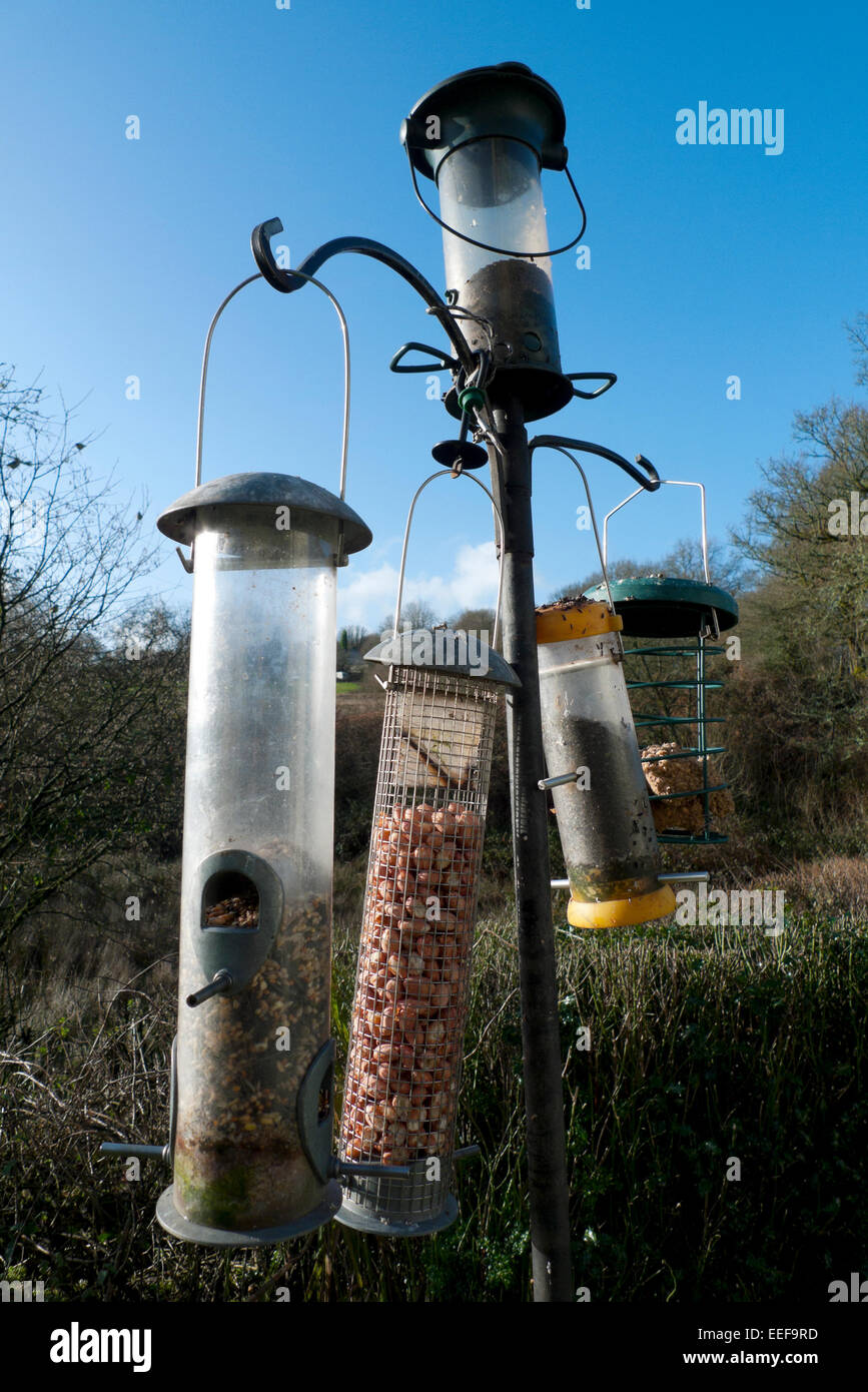 Birdfeeders mit Erdnüssen und Samen im Winter außerhalb der Hütte auf einem ländlichen Land Bauernhof in Carmarthenshire West Wales UK KATHY DEWITT Stockfoto