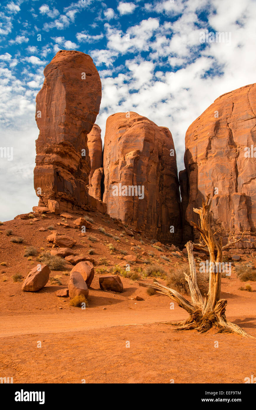 Malerische Wüstenlandschaft im Monument Valley Navajo Tribal Park, Arizona, USA Stockfoto