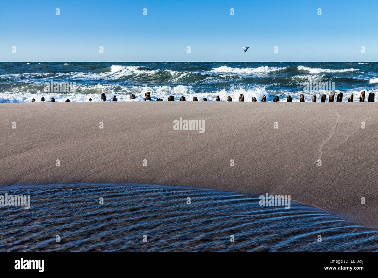 Buhnen am Ufer der Ostsee Stockfoto