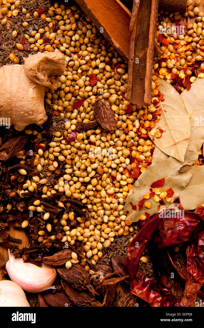 Eine Sammlung Indischer Gewürze als Nahrung orientierten Hintergrund, die auch als ein Buchcover funktionieren wird. Stockfoto