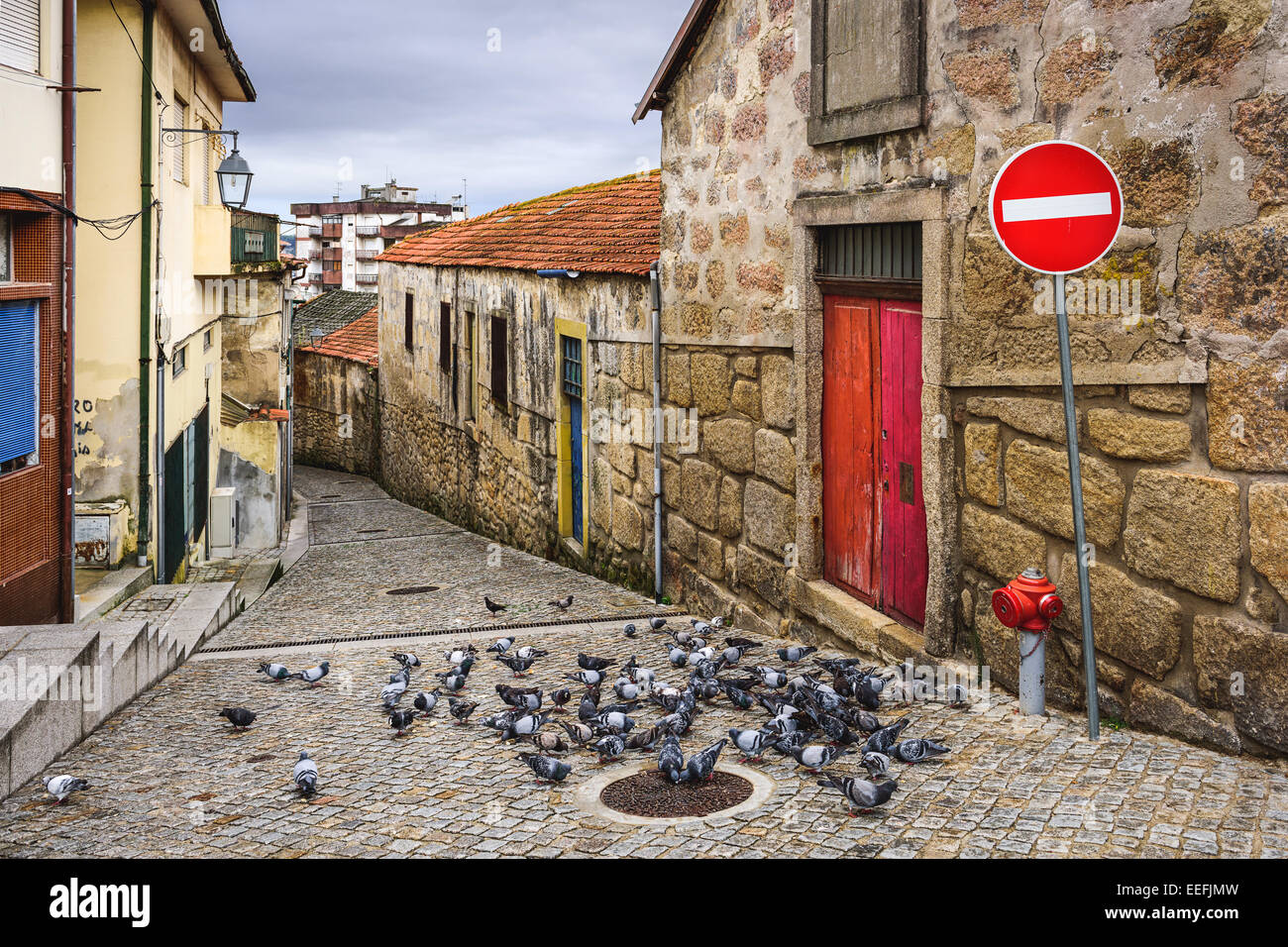 Vila Nova De Gaia, Portugal Gasse Szene mit Tauben. Stockfoto