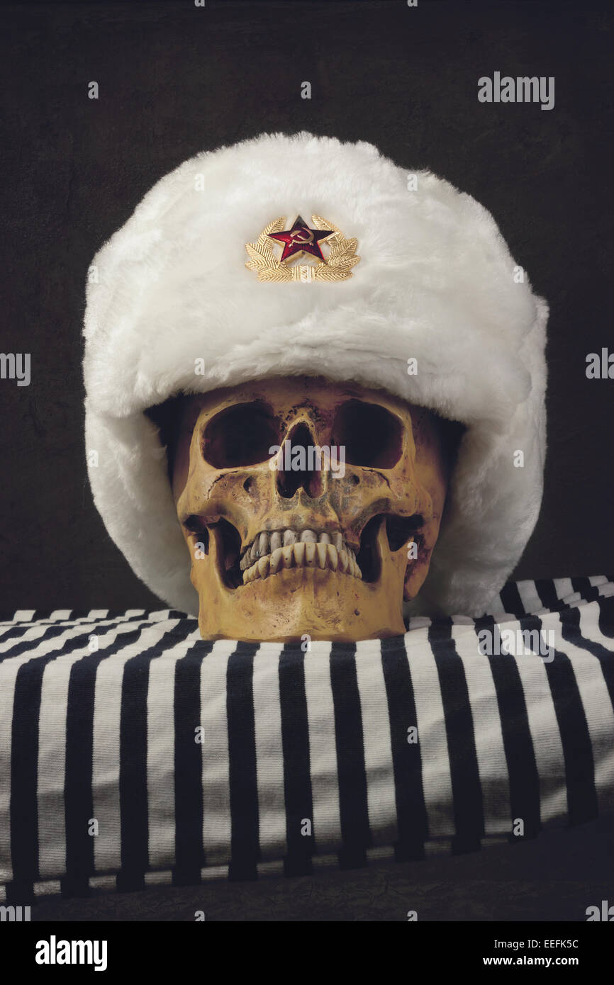 Totenkopf mit russischen Uschanka Stockfoto