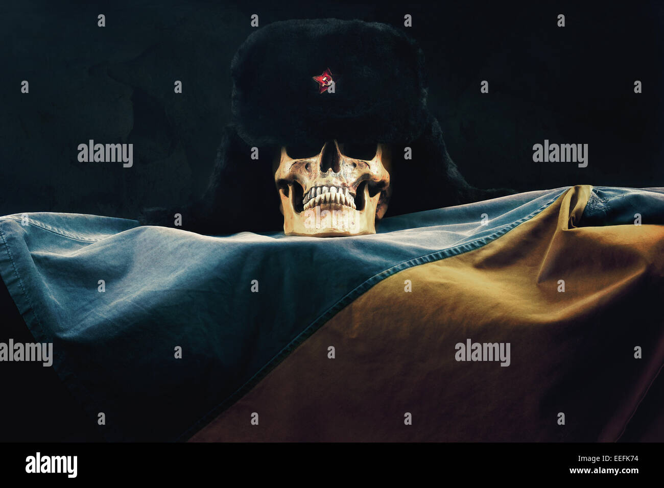 Totenkopf mit russischen Uschanka auf die Flagge der ukraine Stockfoto