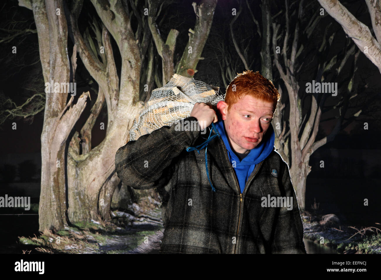 Stranocum County Antrim-Nordirland. 17. Januar 2015. Wetter: Joshua McCormick sammeln von Brennholz für das Feuer auf den "dunklen Hecken" in der Nähe von Stranocum, Temperaturen wieder gesunken, ist ausgeschaltet in vielen ländlichen Gebieten wie das Einfrieren für einen anderen Tag weiter. Bildnachweis: Steven McAuley/Alamy Live-Nachrichten Stockfoto