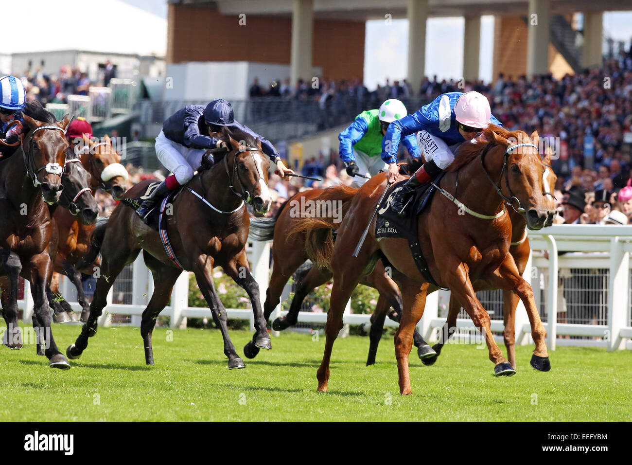 Royal Ascot, Mustajeeb (Dritter von links) mit Pat Smullen Siege die Jersey-Einsätze Stockfoto
