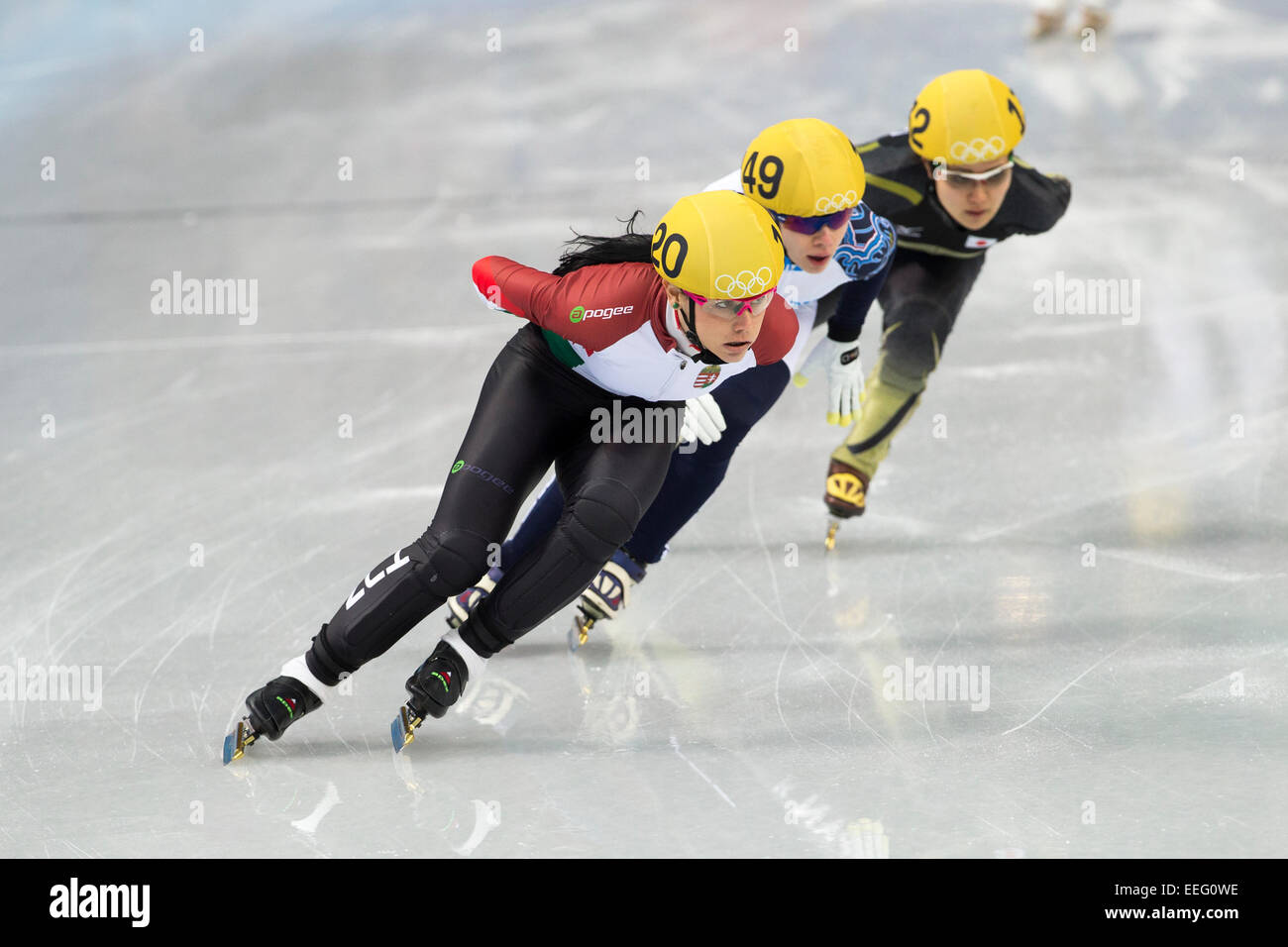 Eisschnelllauf bei den Olympischen Winterspielen, Sotschi 2014 Stockfoto