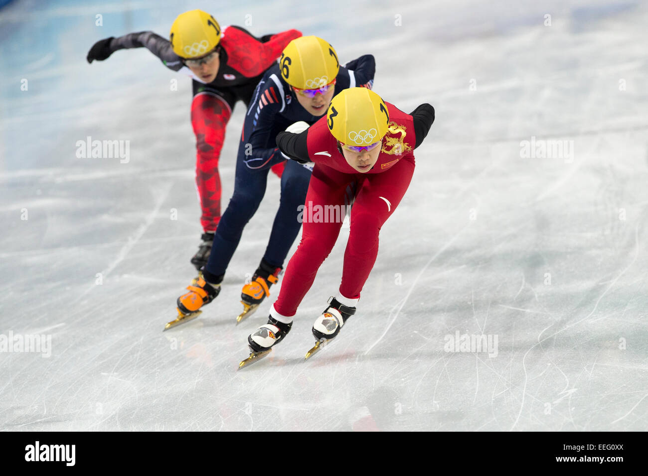 Eisschnelllauf bei den Olympischen Winterspielen, Sotschi 2014 Stockfoto