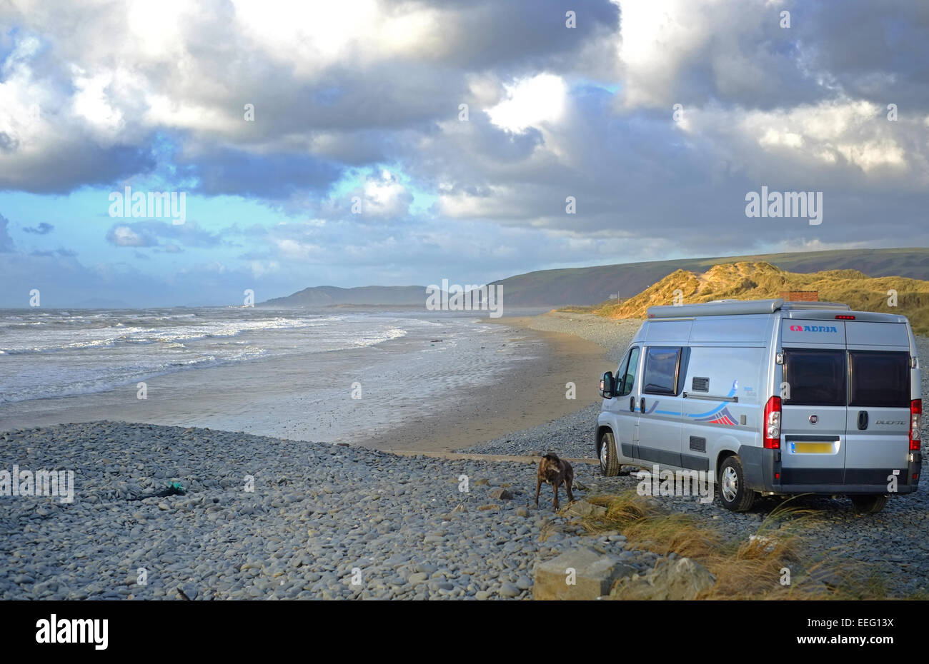 Wohnmobil am Strand mit Hund geparkt Stockfoto