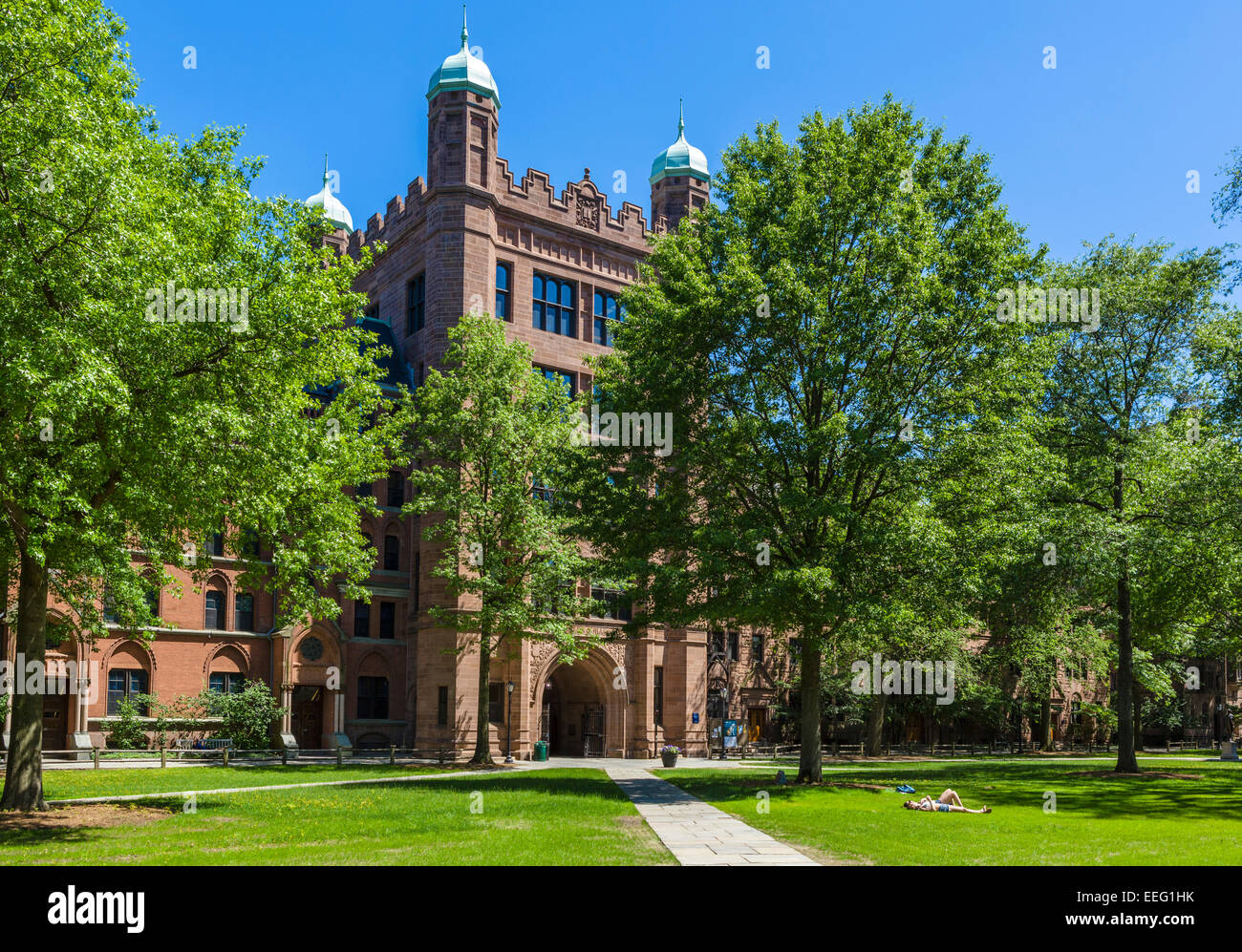 Studenten sonnenbaden auf dem Rasen vor Phelps Hall auf dem alten Campus, Yale University, New Haven, Connecticut, USA Stockfoto