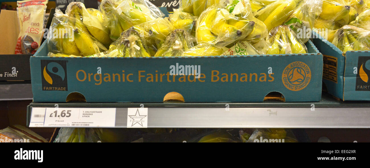 Bio-Lebensmittel Fairtrade reif frisch Bananen in Boxen auf Regalen angezeigt Obst zum Verkauf innen große Tesco Lebensmittel Supermarkt Store London England Großbritannien Stockfoto