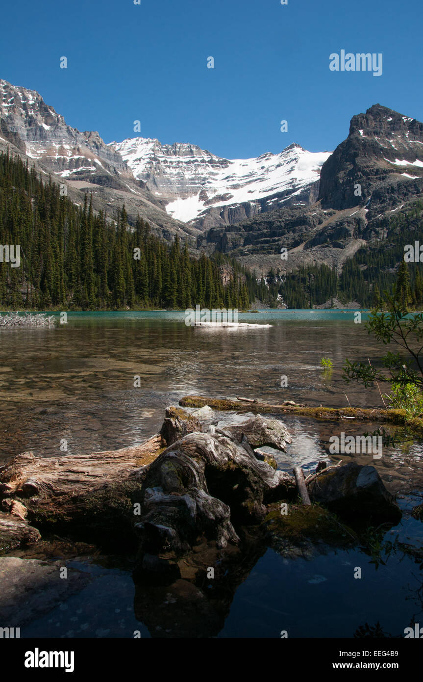 Lake O'Hara, Yoho Nationalpark, Britisch-Kolumbien, Kanada Stockfoto