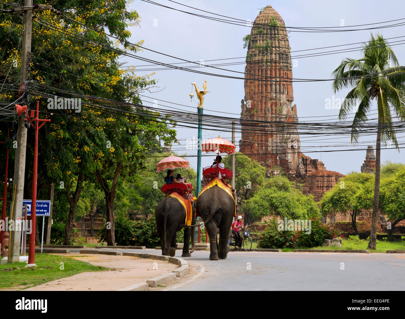 THAILAND - fahren Besucher Ayutthaya Historical Park erleben ein Elefant angesichts massiver Stupa im Wat Phra Ram. Stockfoto
