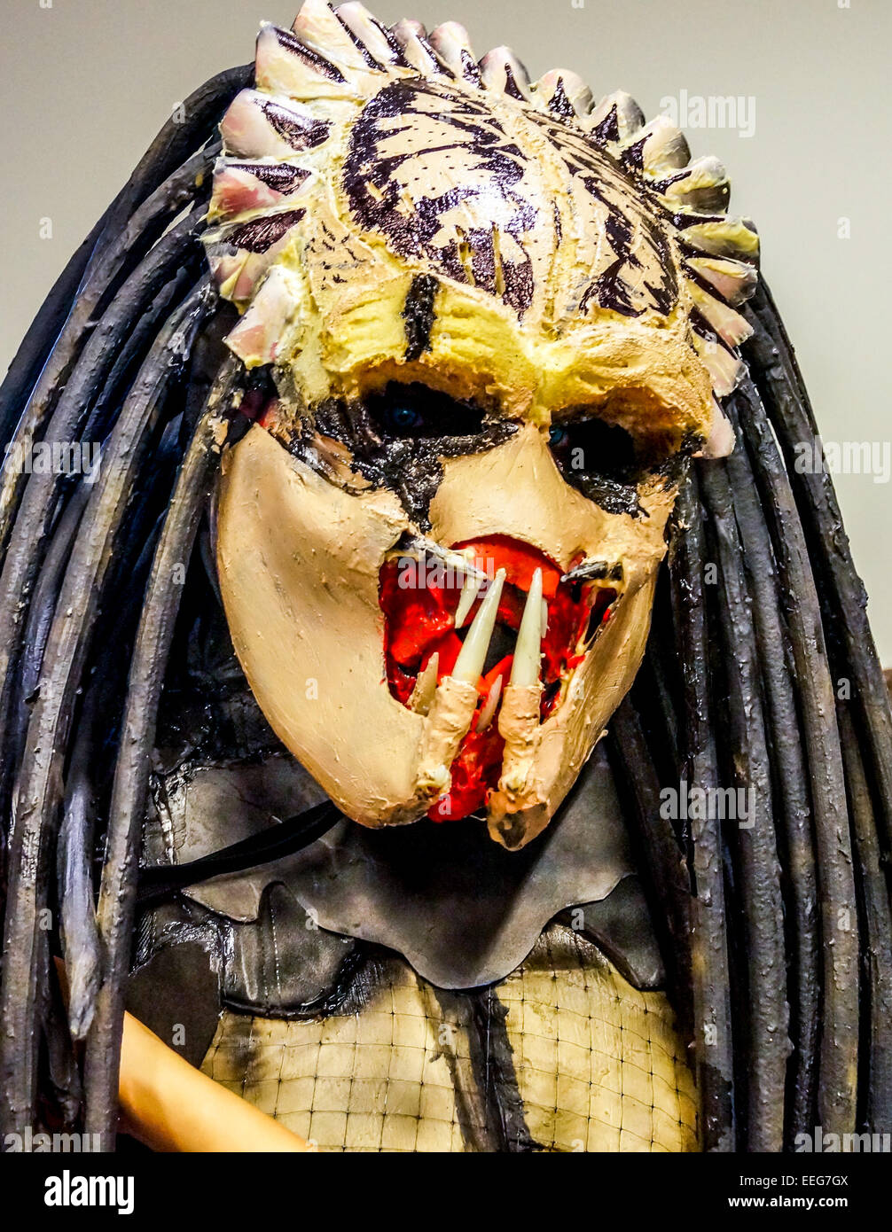 EDITORIAL - Raleigh, NC, USA - 23. Mai 2014: Animazement 2014 Stockfoto