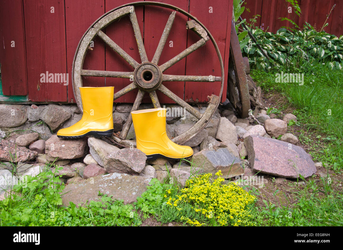 Bauerhof gummistiefel Fotos und Bildmaterial in hoher Auflösung Alamy