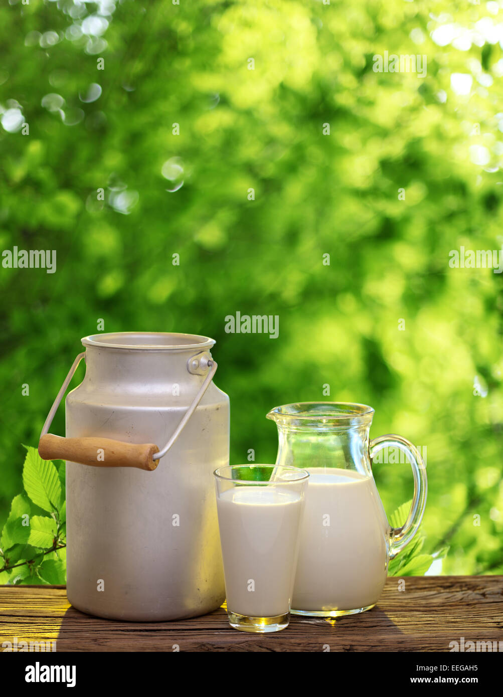 Frische Bio-Milch. Natur-Hintergrund. Stockfoto