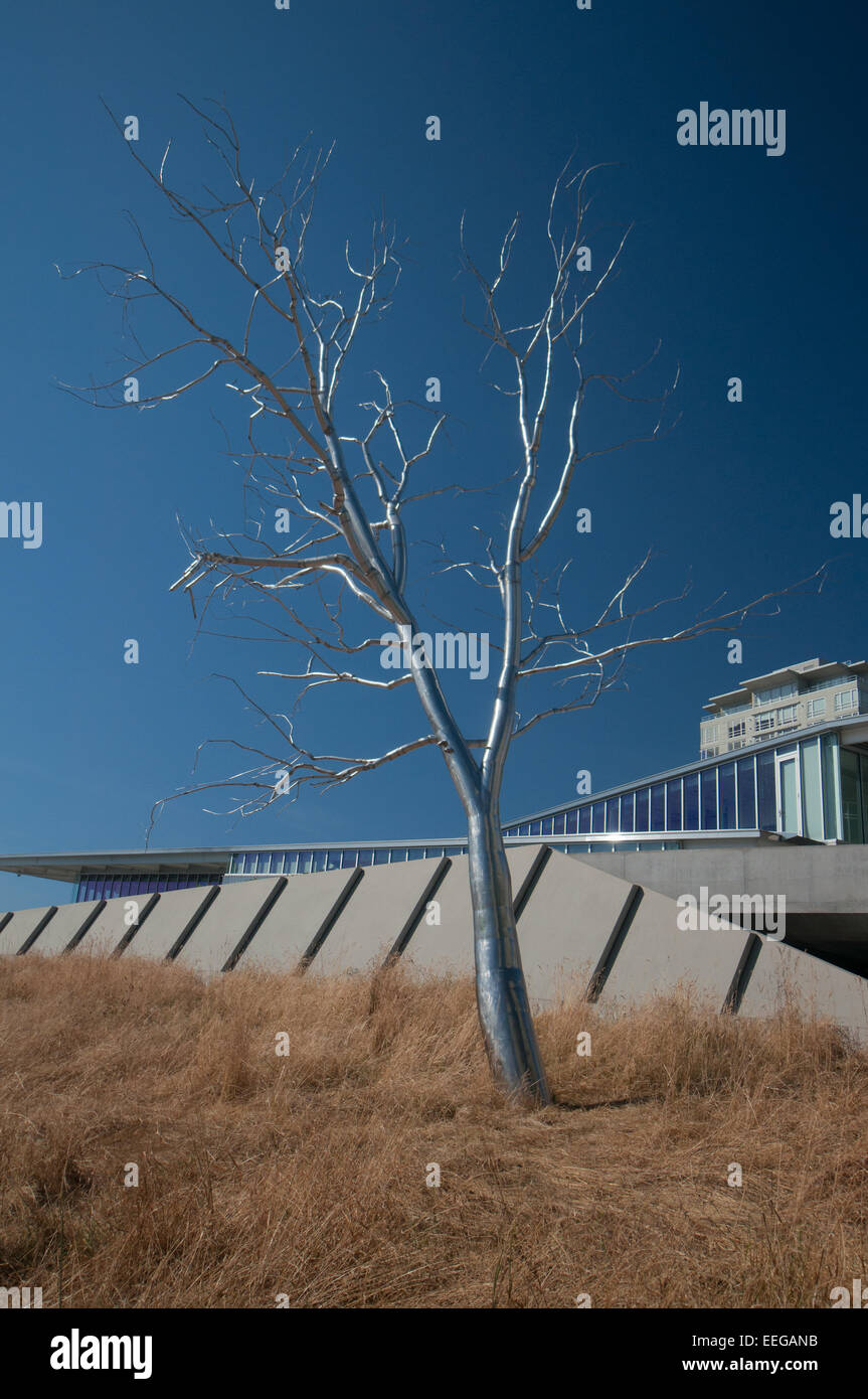 Split - Edelstahl Tree in The Olympic Sculpture Park, Seattle, Washington, USA - erstellt von Roxy Paine Stockfoto