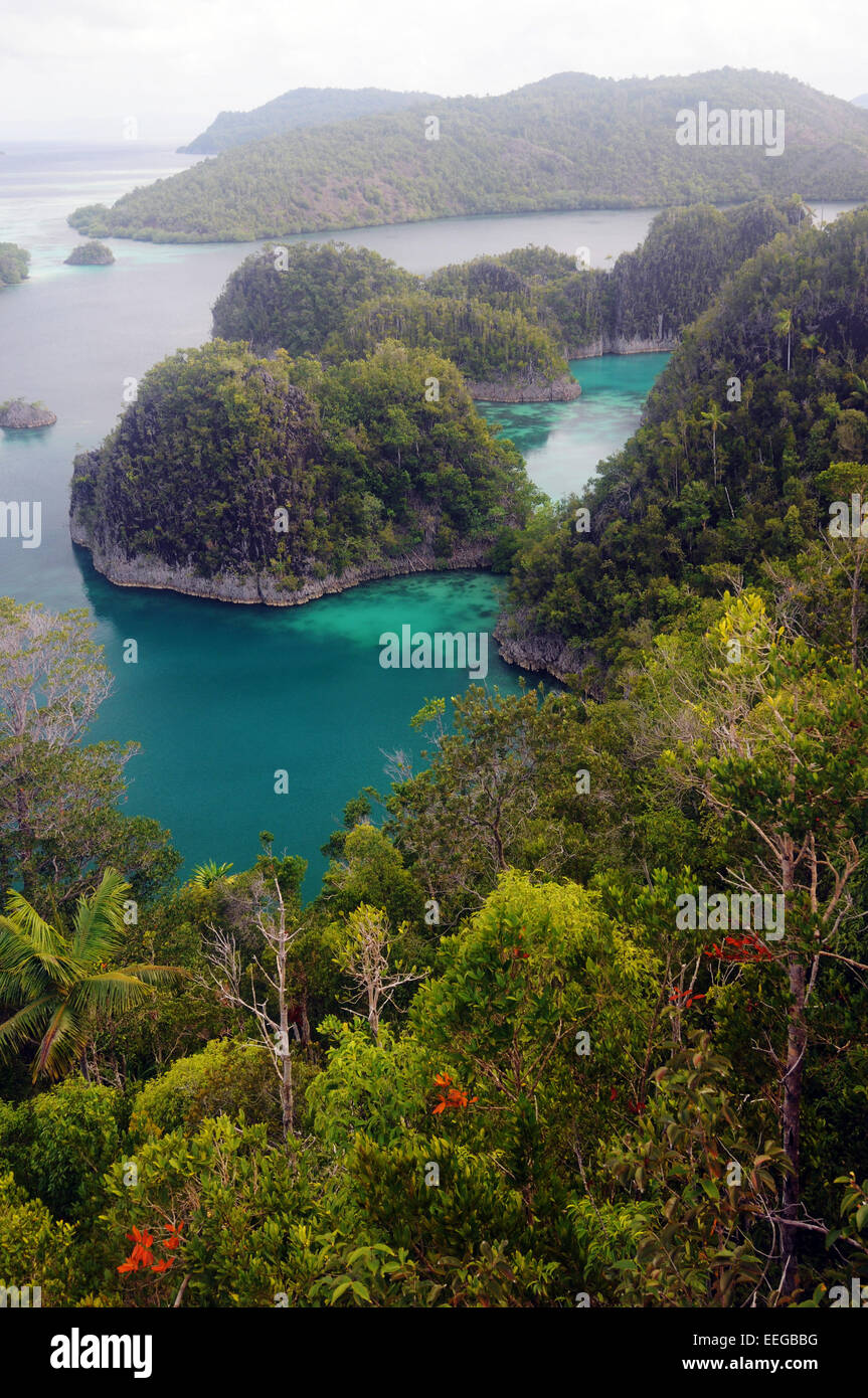Painemu Sicht, Fam Inseln, Raja Ampat, Provinz Papua, Indonesien Stockfoto