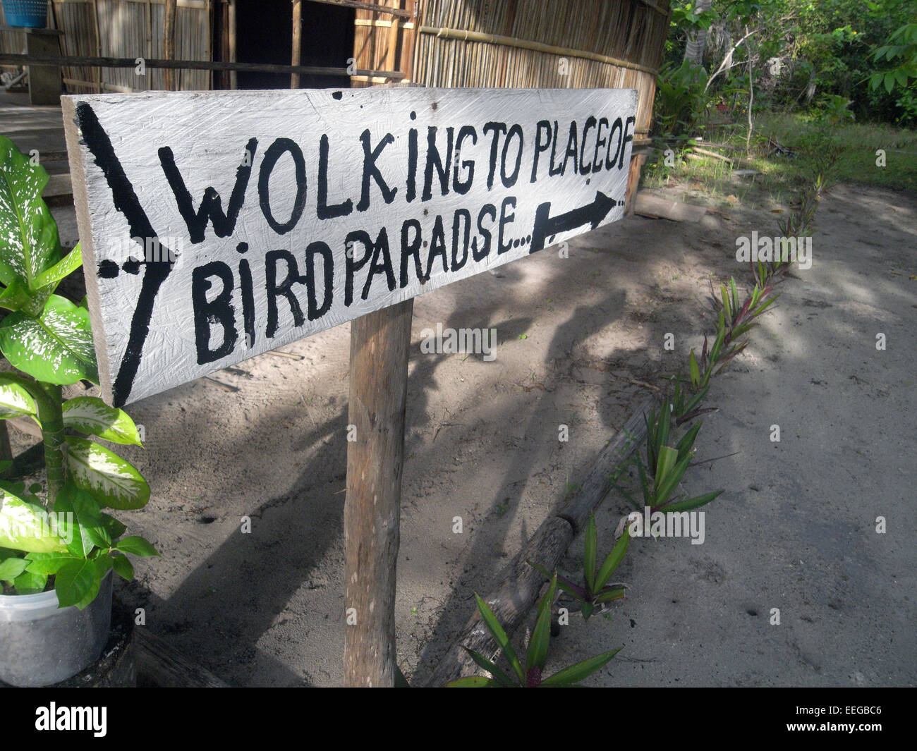 Wegweiser markiert Beginn der Wanderweg zur Ansicht Anzeige rot Paradiesvogel-Stammbaums, Gam Insel, Raja Ampat, Provinz Papua, Indon Stockfoto