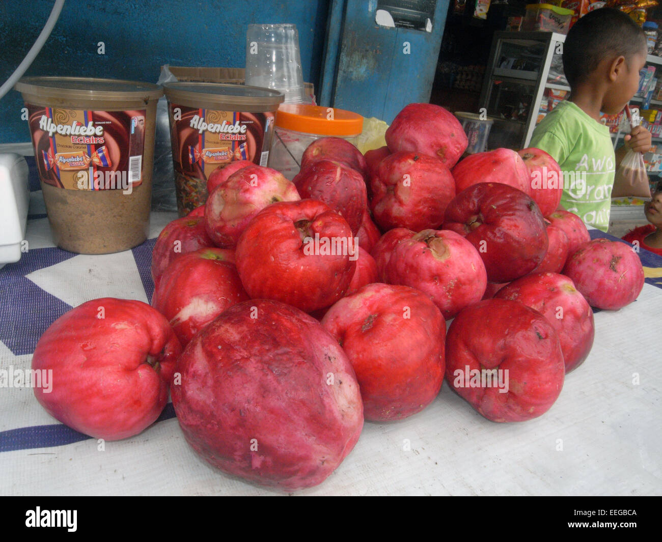 Enorme Syzygium Früchte (lokaler Name "Jambo") zum Verkauf an Stand in Sorong, Provinz Papua, Indonesien. Weder Herr PR Stockfoto