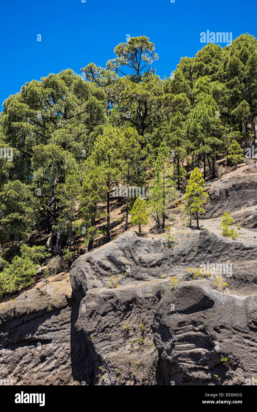 Landschaft auf der Kanarischen Insel Teneriffa. Stockfoto