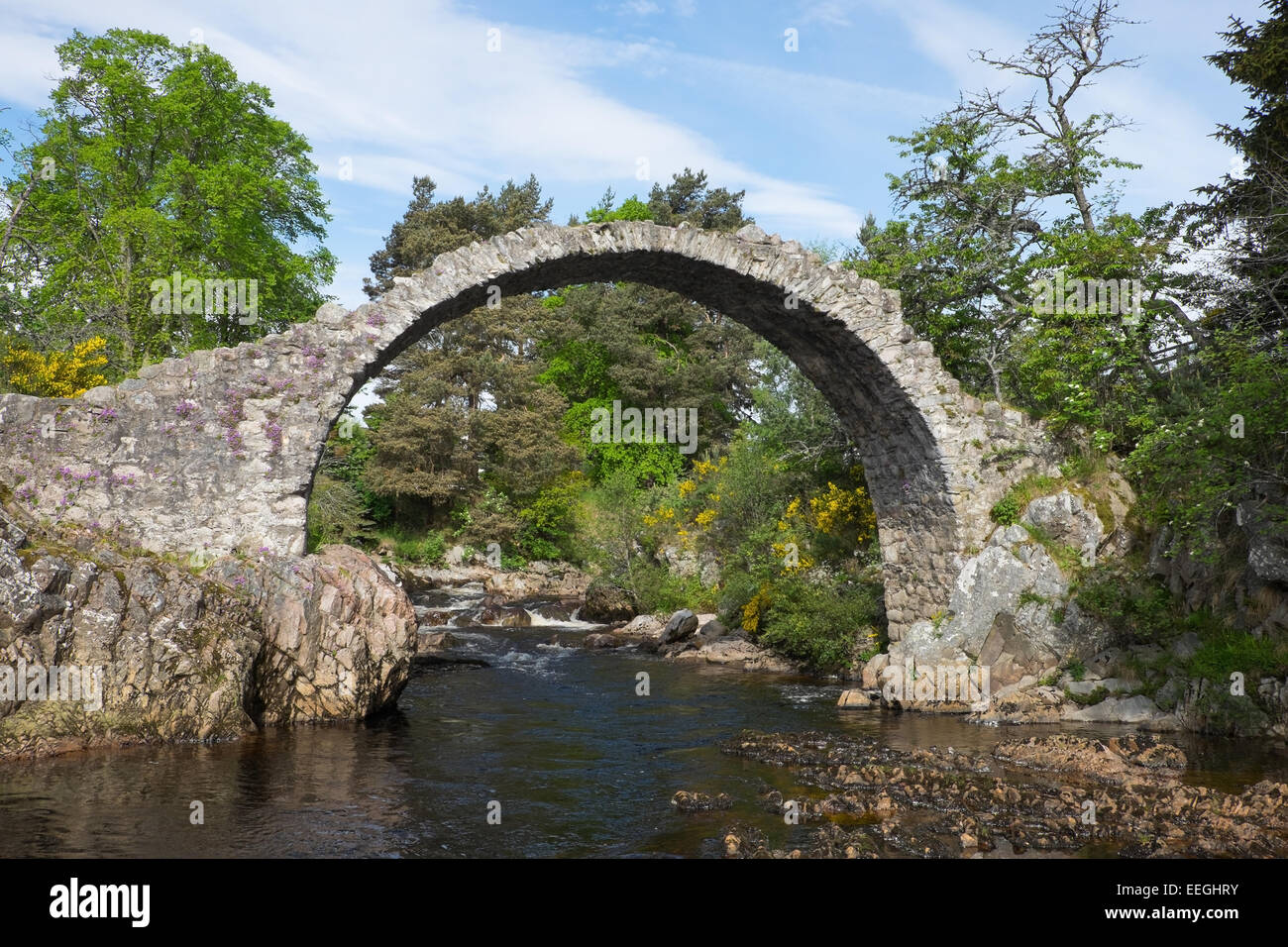 Die alten steinernen Lastesel Brücke über den Fluss Dulnain in Carrbridge in den schottischen Highlands, Schottland. Stockfoto