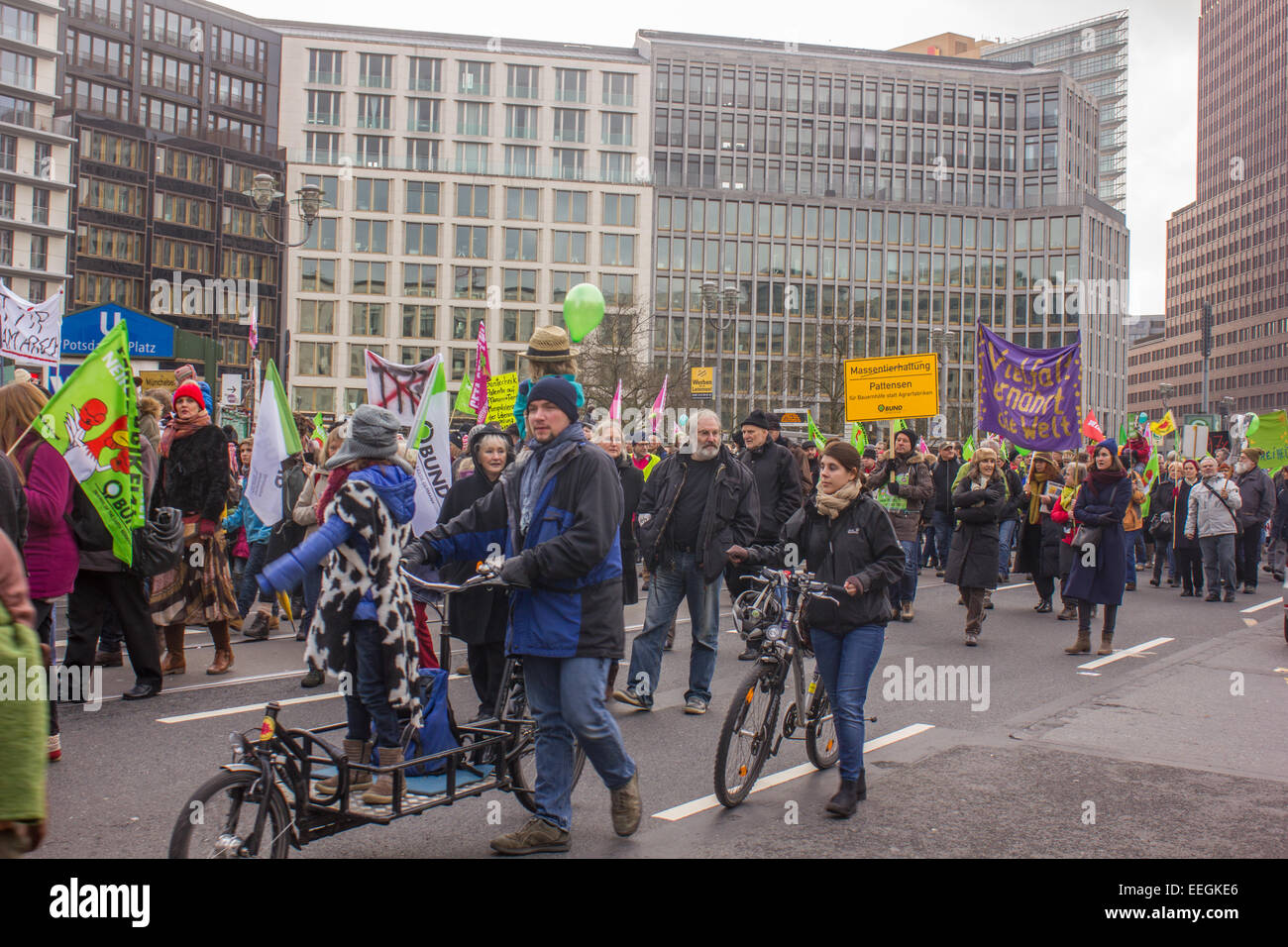 Tausende Menschen protestieren gegen industrielle Scheunen, wo Tiere in erträglich Bedingungen am 17. Januar 2015 in Berlin sind. Stockfoto