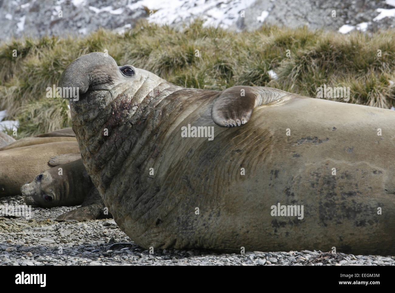 Bummelig Stockfotos Und Bilder Kaufen Alamy