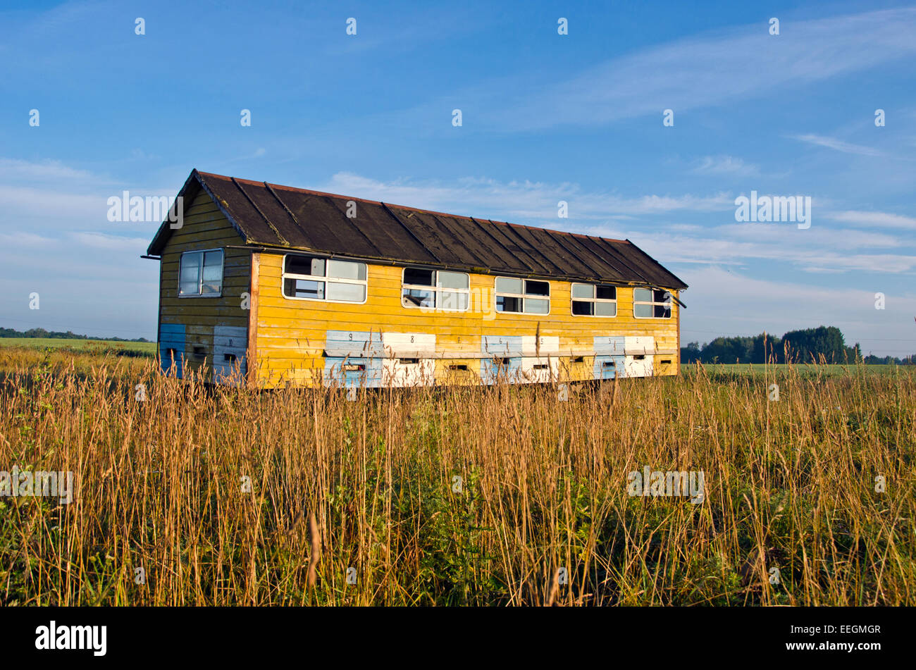 Imkerei Hives Grosse Biene Haus Lkw Anhanger In Sommerwiese