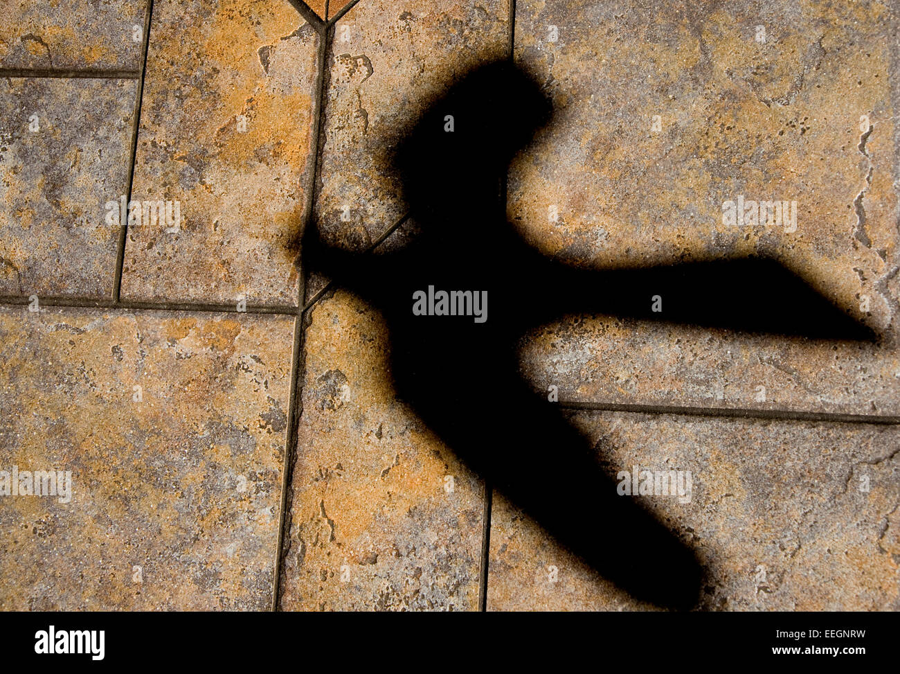 Schatten eines Vogels auf einem gefliesten Boden Stockfoto
