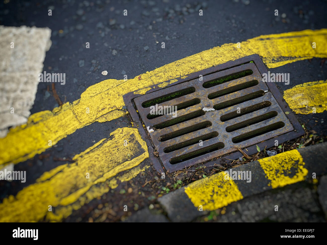 Doppelte gelbe "Parkverbot" Linien auf einer UK-Straße und ein Abfluss Abdeckung. Stockfoto
