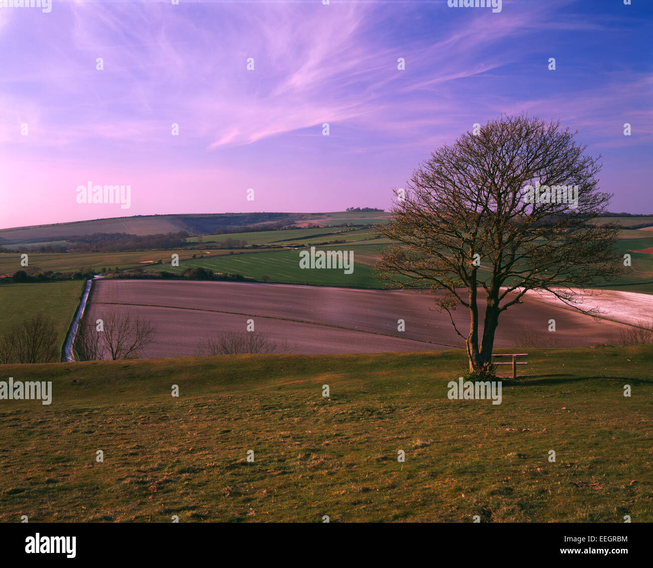 Blick nach Norden vom Cissbury Ring Chanctonbury Ring auf die Skyline, South Downs, West Sussex Stockfoto