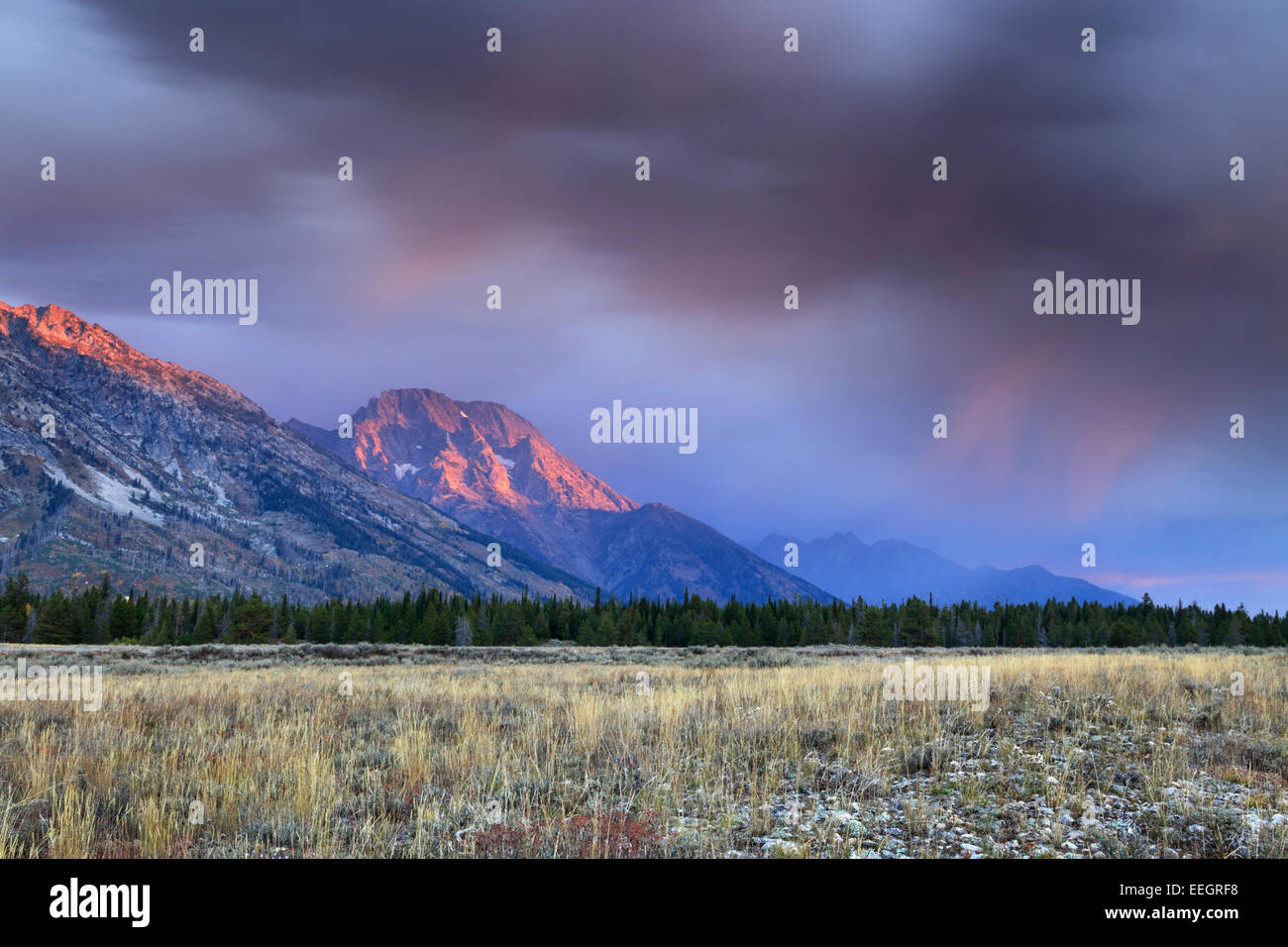 Morgen Alpenglühen Mt Moran wie im Grand-Teton-Nationalpark, Wyoming Stockfoto