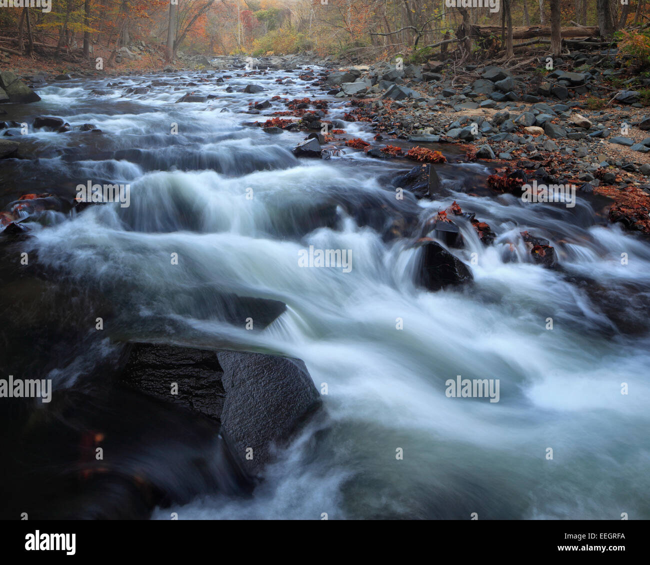 Herbstregen schwillt Little Patuxent River in Savage, Howard County, Maryland Stockfoto