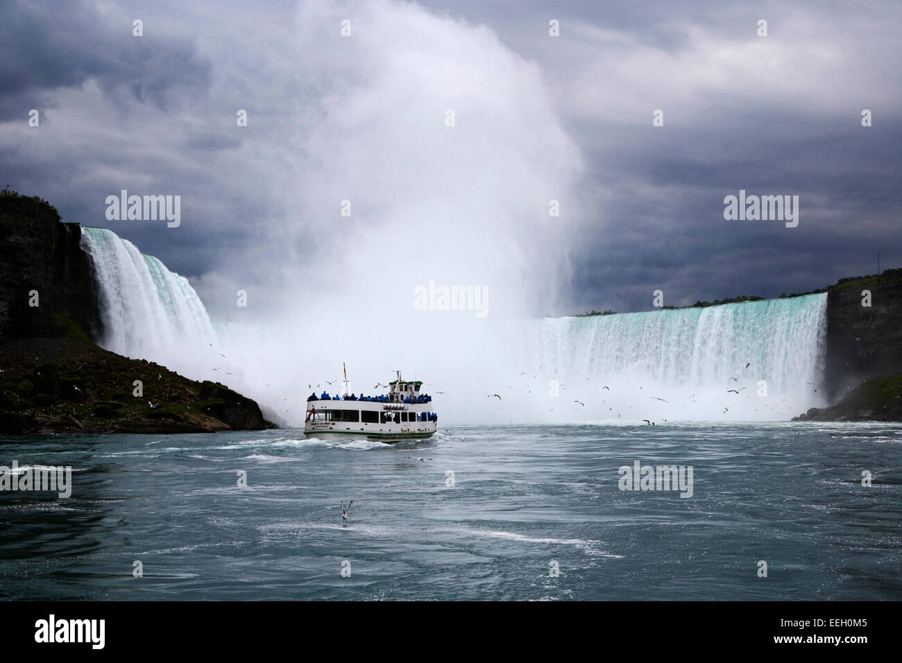 Magd des Bootes auf dem Niagara Fluss Nebel nähert sich Niagara ganz fällt Ontario Kanada Stockfoto