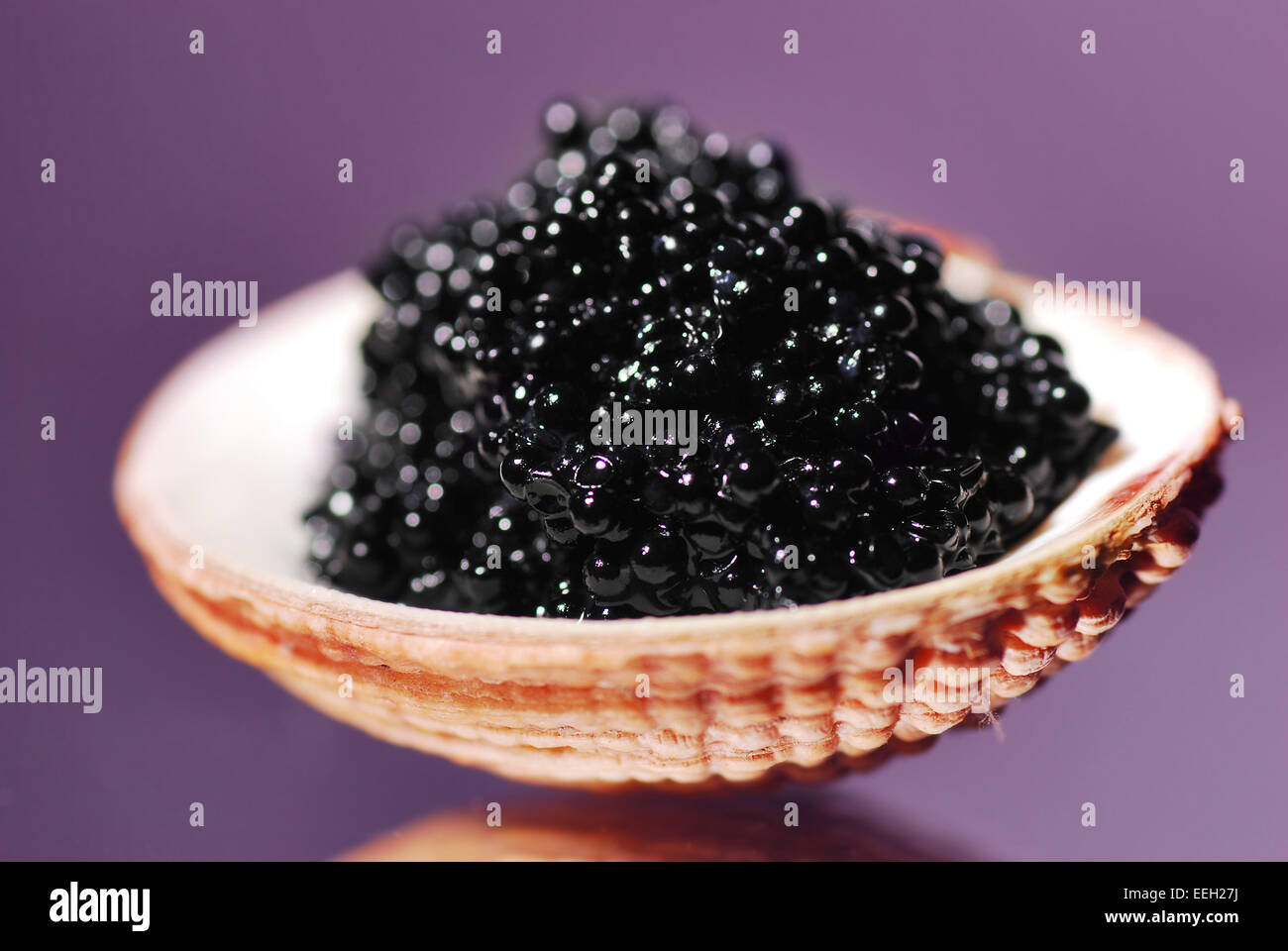 Schwarzer Kaviar in einer shell Stockfoto