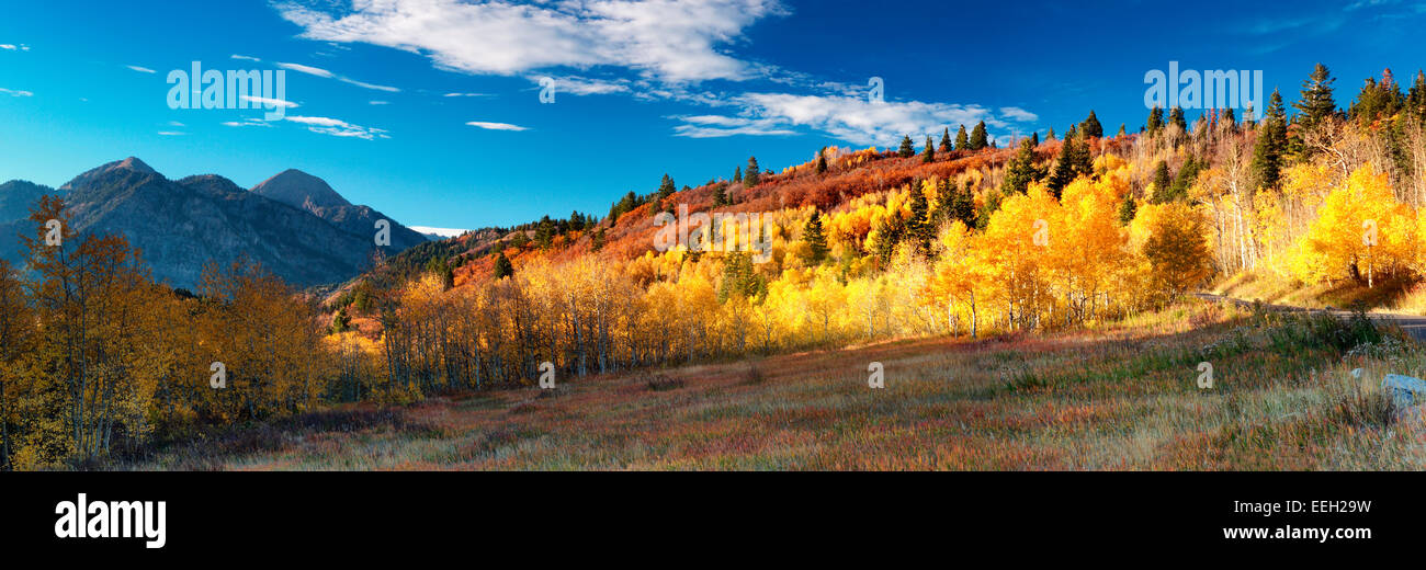 Verlieben Sie sich in den Wasatch Mountains Stockfoto