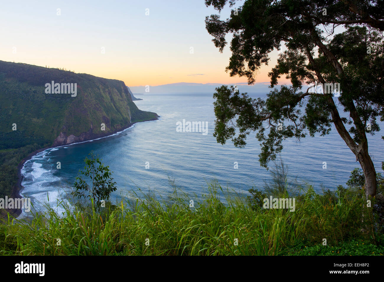 Waipio übersehen Stockfoto