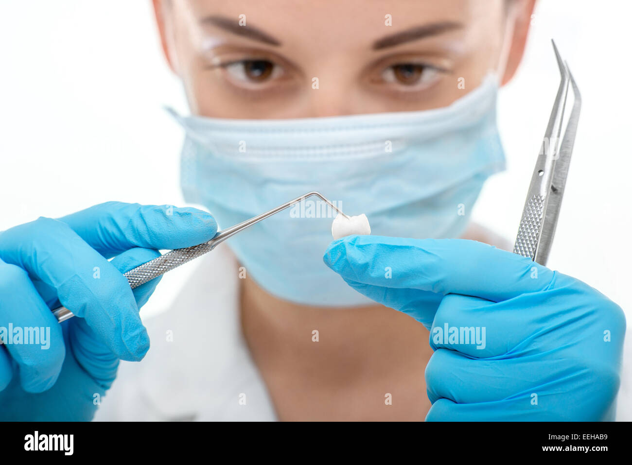 Junge Frau Zahnarzt Zahn isoliert auf weißem Hintergrund in Betrieb Stockfoto