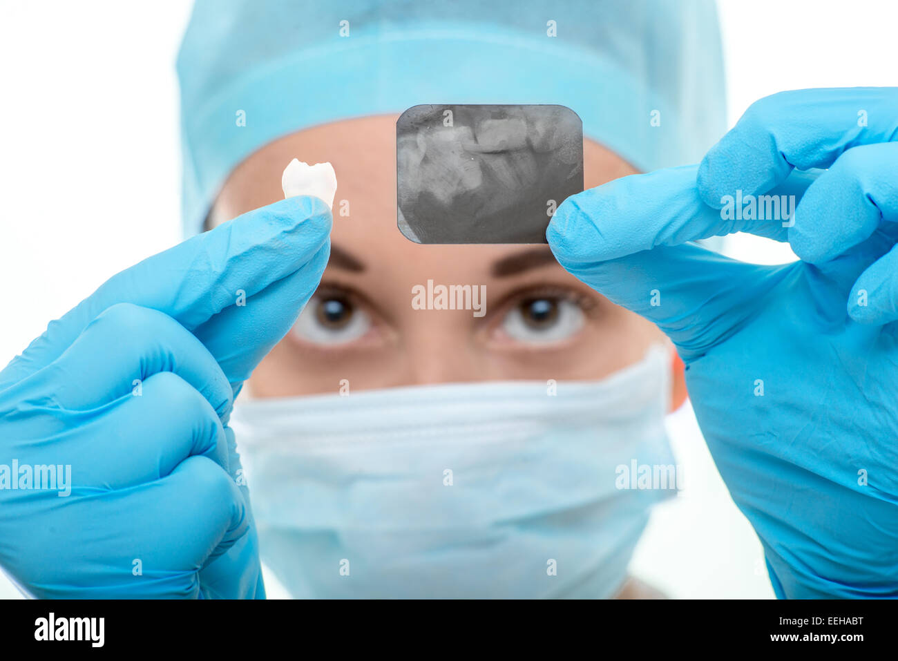 Junge Frau Zahnarzt betrachten Zahnröntgen auf weißem Hintergrund Stockfoto