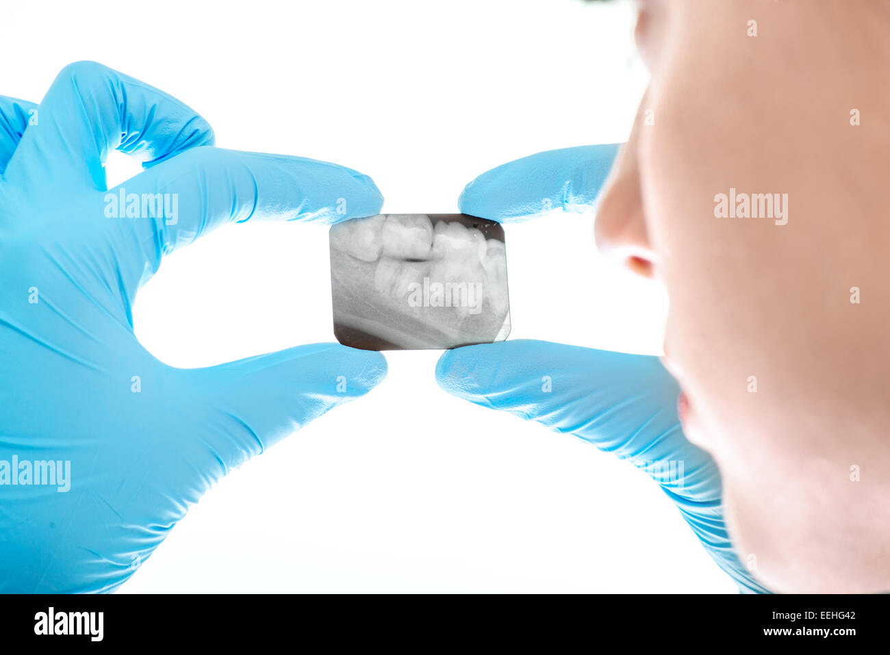 Junge Frau Zahnarzt betrachten Zahnröntgen auf weißem Hintergrund Stockfoto
