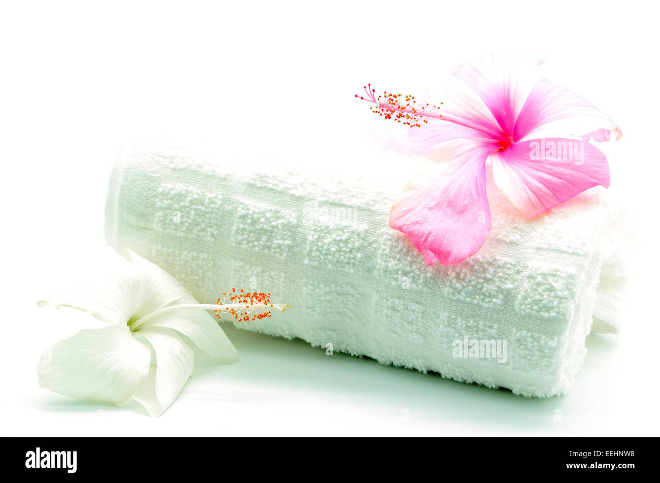 Bunte rosa und weißen Hibiskusblüten mit Handtuch Spa Design, isoliert auf weißem Hintergrund Stockfoto