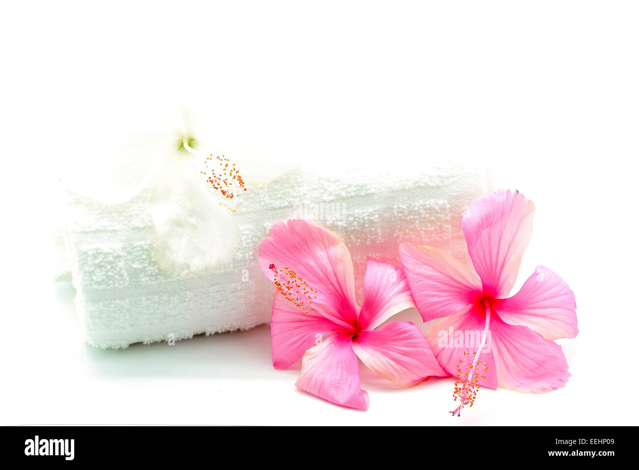Bunte rosa und weißen Hibiskusblüten mit Handtuch Spa Design, isoliert auf weißem Hintergrund Stockfoto