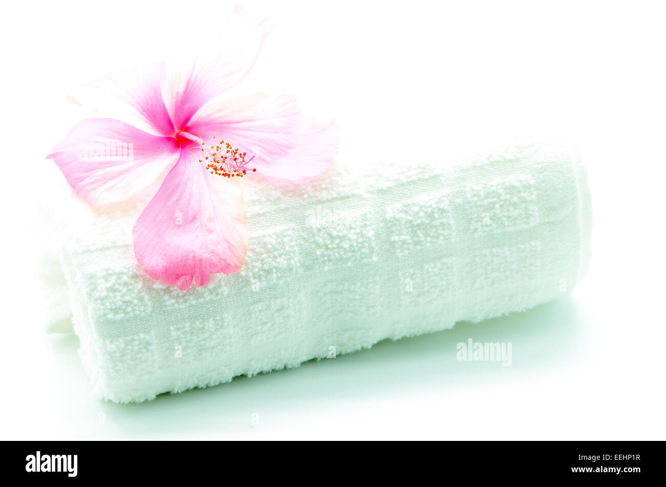 Bunte rosa Hibiskus Blume mit Handtuch Spa Design, isoliert auf weißem Hintergrund Stockfoto